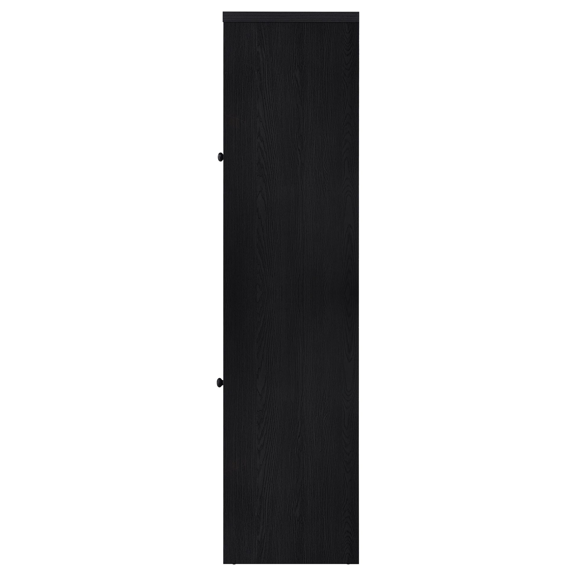 Denison 67-inch 2-door Media Tower Storage Cabinet Black