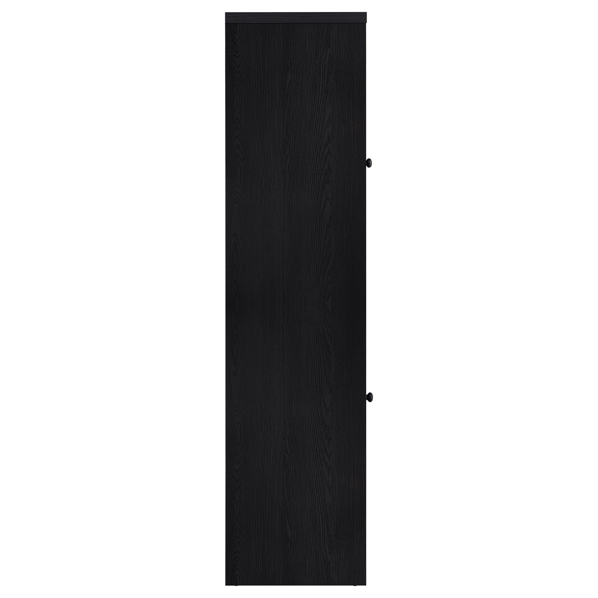 Denison 67-inch 2-door Media Tower Storage Cabinet Black