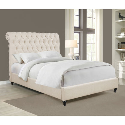 Clemence - Tufted Upholstered Bed With Rolled Back Design - The Sleep Loft - Online Mattress Showroom NYC