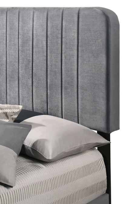 Channel Tufted Bed - The Sleep Loft - Online Mattress Showroom NYC