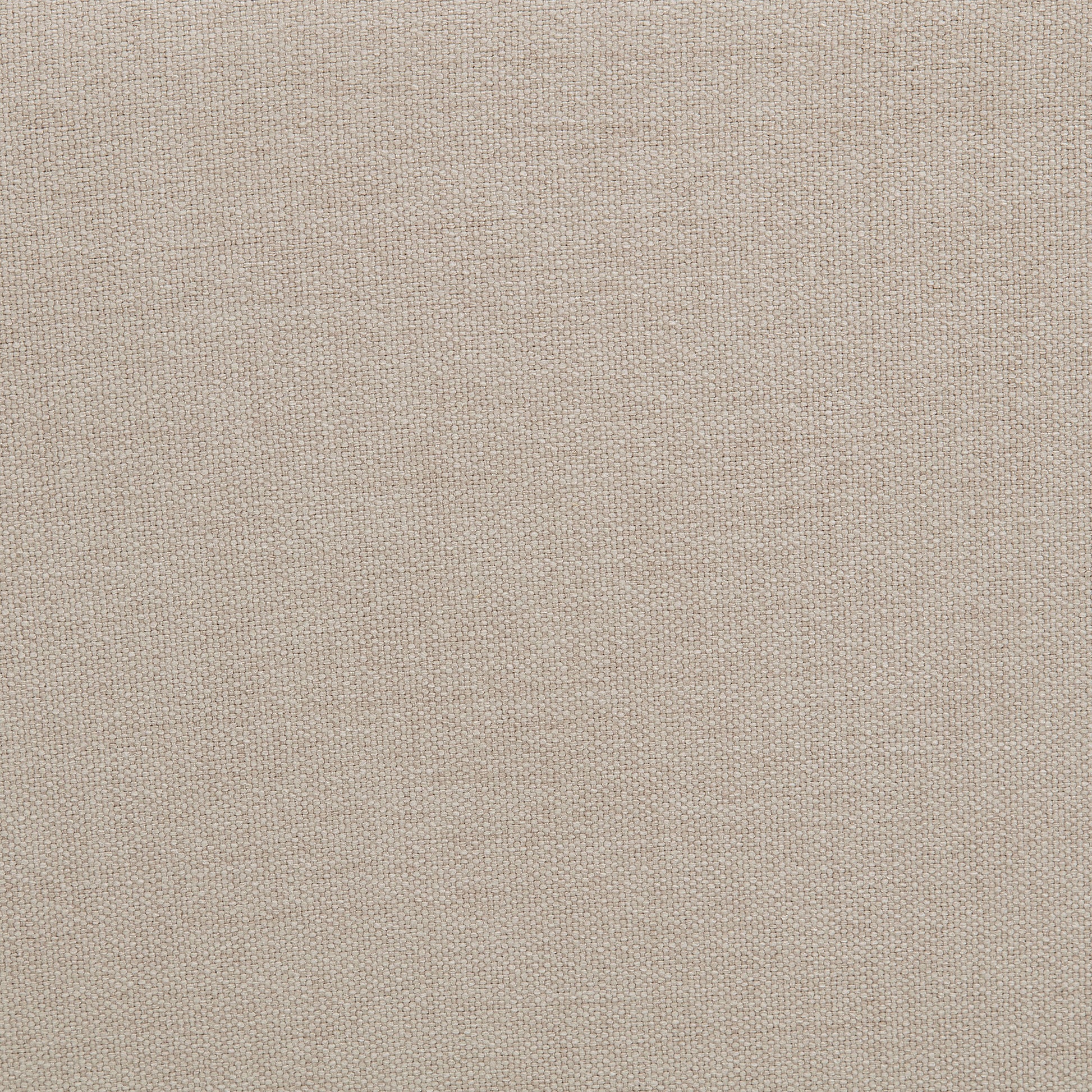 Marsha 52-inch Upholstered Entryway Accent Bench Latte