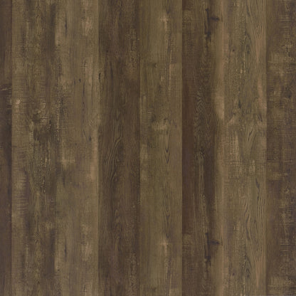 Carolyn 2-door Engineered Wood Accent Cabinet Rustic Oak