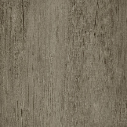 Deepika 4-Panel Room Divider Folding Screen Grey Driftwood