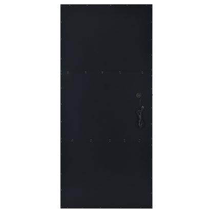Zayan 32 x 71 Inch Floor Mirror LED Lighting Black Gloss