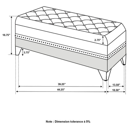 Tufted Trunk With Nailhead Trim Storage Solution - Black - The Sleep Loft - Online Mattress Showroom NYC