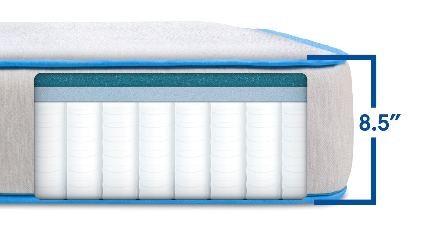 Bear Cub Kids Mattress - The Sleep Loft - Online Mattress Showroom NYC