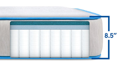 Bear Cub Kids Mattress - The Sleep Loft - Online Mattress Showroom NYC