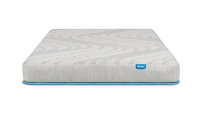 Bear Trundle Mattress - The Sleep Loft - Online Mattress Showroom NYC