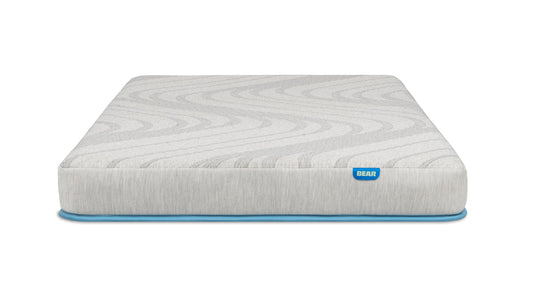 Bear Trundle Mattress - The Sleep Loft - Online Mattress Showroom NYC
