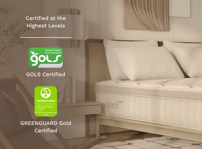 Birch Elite Natural Mattress - The Sleep Loft - Online Mattress Showroom NYC