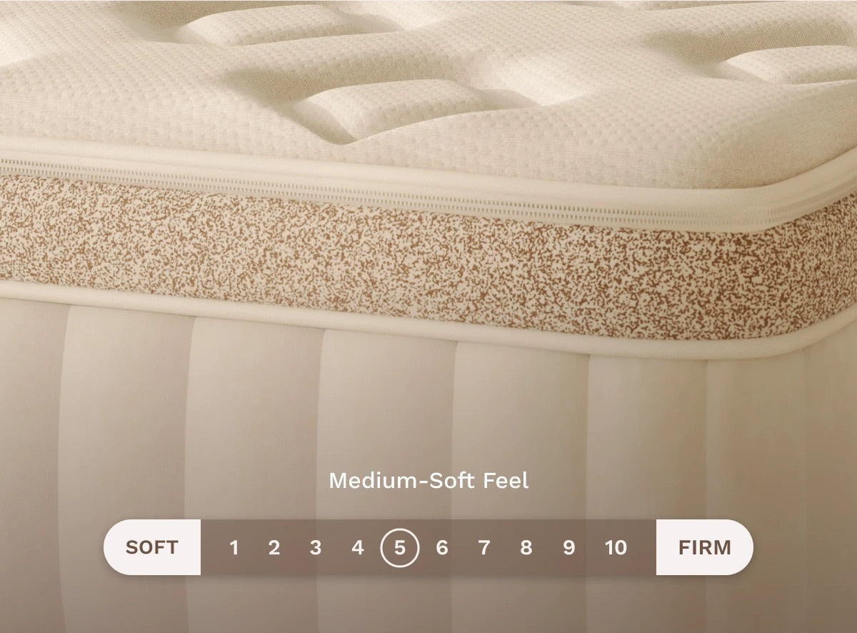 Birch Elite Natural Mattress - The Sleep Loft - Online Mattress Showroom NYC