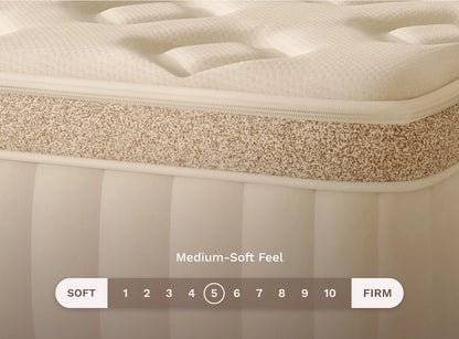 Birch Elite Natural Mattress - The Sleep Loft - Online Mattress Showroom NYC
