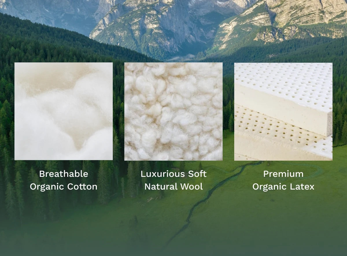 Birch Elite Natural Mattress - The Sleep Loft - Online Mattress Showroom NYC