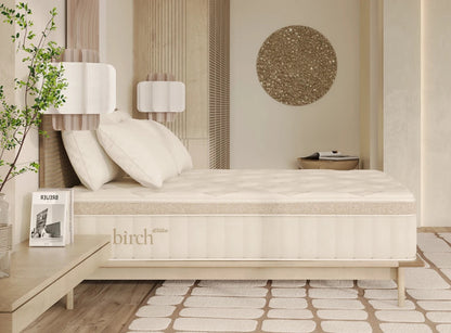 Birch Elite Natural Mattress - The Sleep Loft - Online Mattress Showroom NYC