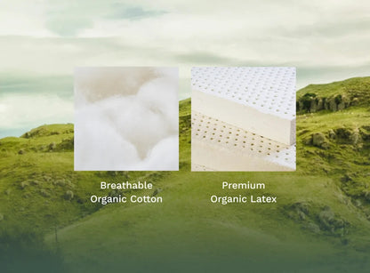 Birch Essential Mattress - The Sleep Loft - Online Mattress Showroom NYC