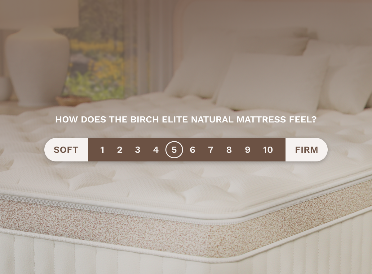Birch Elite Natural Mattress - The Sleep Loft - Online Mattress Showroom NYC