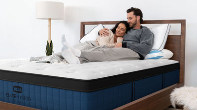 Bear Elite Ultra Hybrid Mattress - The Sleep Loft - Online Mattress Showroom NYC