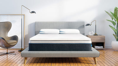 Bear Pro Mattress Topper - The Sleep Loft - Online Mattress Showroom NYC