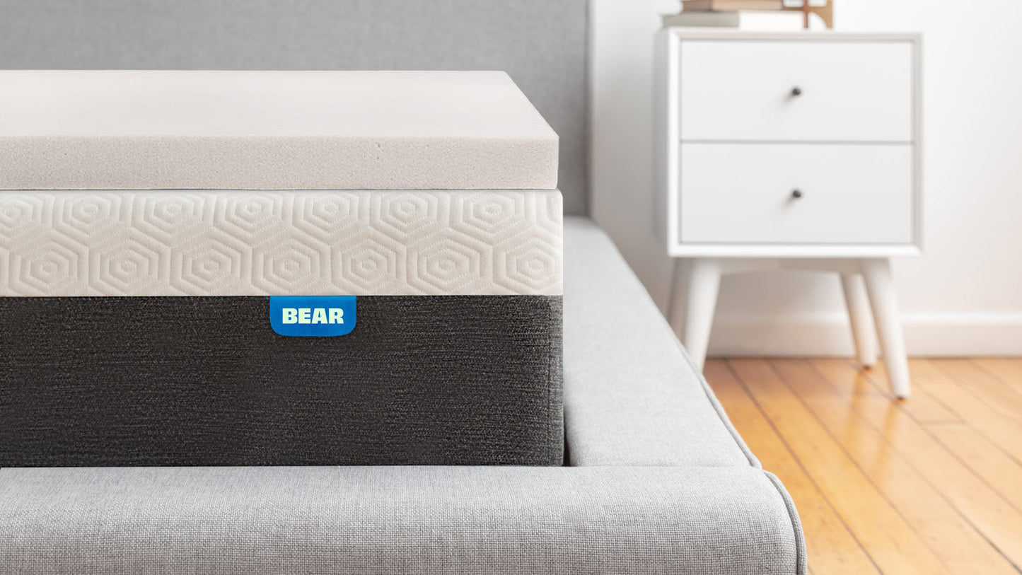 Bear Pro Mattress Topper - The Sleep Loft - Online Mattress Showroom NYC