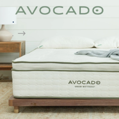 Avocado Collection