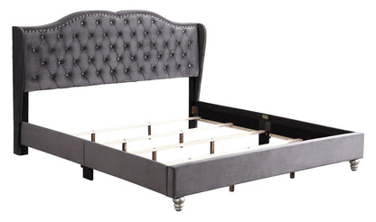 Upholstered Velvet Bed Transitional - The Sleep Loft - Online Mattress Showroom NYC