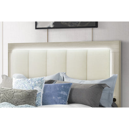 Emilia - Bed With Storage And LED Lighting - The Sleep Loft - Online Mattress Showroom NYC