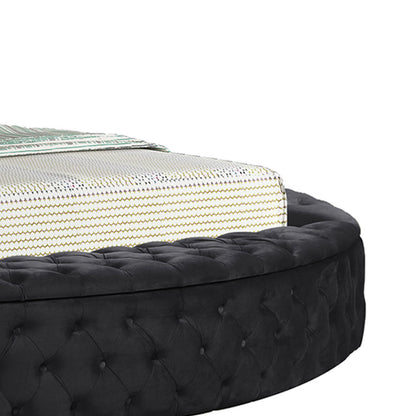 Hazel - Storage Bed - The Sleep Loft - Online Mattress Showroom NYC