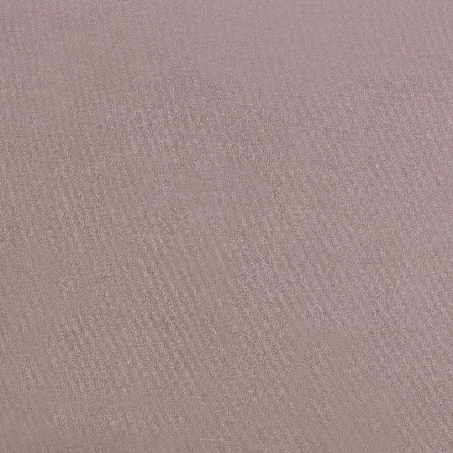 Elegant Upholstered Bed Frame - The Sleep Loft - Online Mattress Showroom NYC