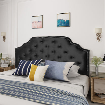 Charismatic - Size Headboard With Button Tufting And Nailhead Trim - The Sleep Loft - Online Mattress Showroom NYC