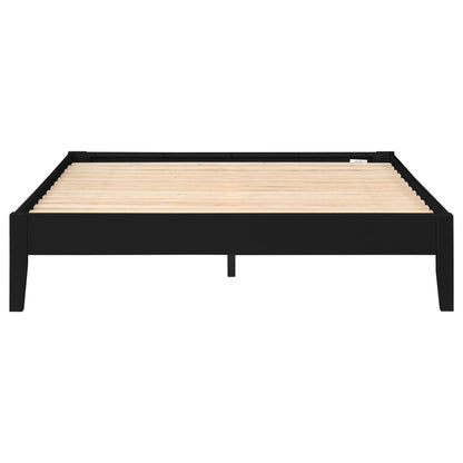 Ridgeview - Queen Storage Panel Bed With Low Profile Design - Black - The Sleep Loft - Online Mattress Showroom NYC