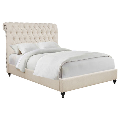 Clemence - Tufted Upholstered Bed With Rolled Back Design - The Sleep Loft - Online Mattress Showroom NYC