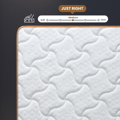 Plush Hybrid Mattresses With Gel Memory Foam, Individual Pocket Spring Motion Isolation Edge Support - The Sleep Loft - Online Mattress Showroom NYC