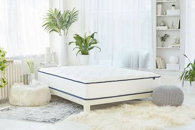 WinkBeds GravityLux Memory Foam Mattress - The Sleep Loft - Online Mattress Showroom NYC