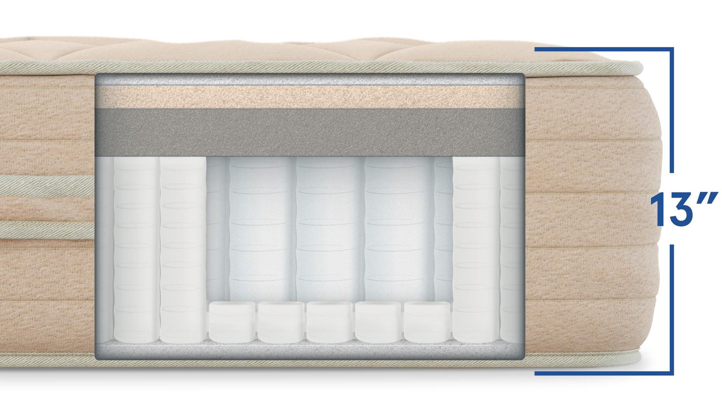 Bear Natural Mattress - The Sleep Loft - Online Mattress Showroom NYC