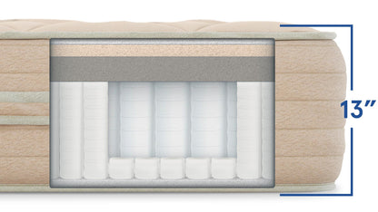 Bear Natural Mattress - The Sleep Loft - Online Mattress Showroom NYC